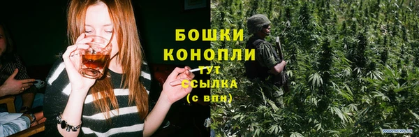 гидра Арсеньев