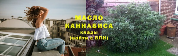 гидра Арсеньев